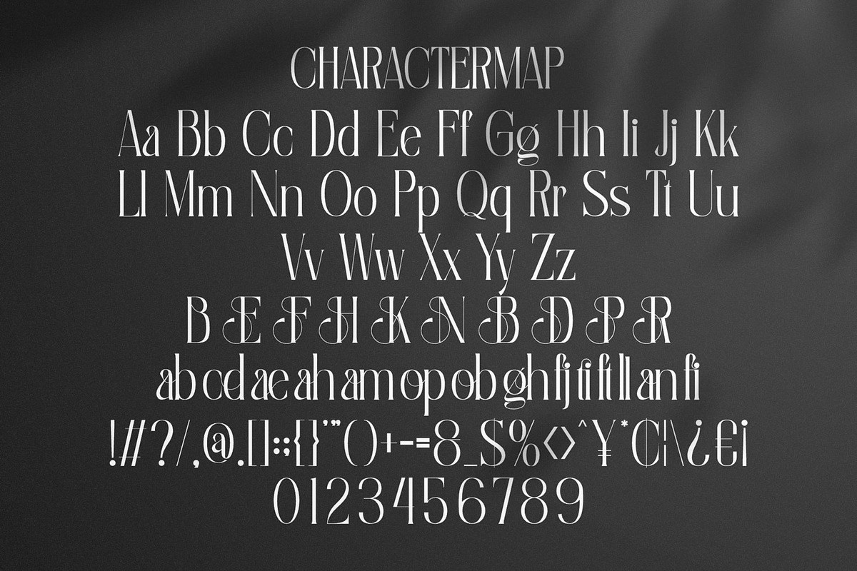 Eghafin || Elegant Serif Font, a Serif Font by Ermedia Studio (Photo 10 of 10)