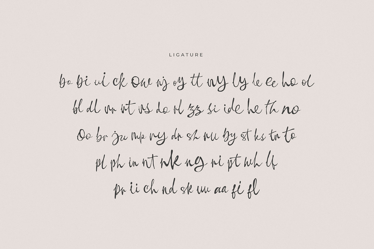 Morning Camera Natural Handwritten, a Handwritten Font by RantautypeStudio (Photo 5 of 9)