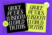 Creative Vision Victorian Display, a Serif Font by timelesstype.co (Thumbnail 3 of 10)