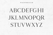 Wacian Serif Font Family, a Serif Font by Creativetacos (Thumbnail 2 of 9)
