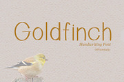 Goldfinch - Handwriting Clean Font, a Font by OPY ArtStudio (Thumbnail 1 of 5)