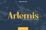 Artemis Fancy Sans Serif Typeface, a Sans Serif Font by edukka (Thumbnail 1 of 7)