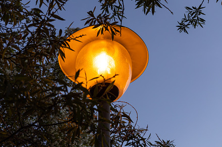 Orange beautiful street lighting lan, a Nature Photo by Illustrations&photos
