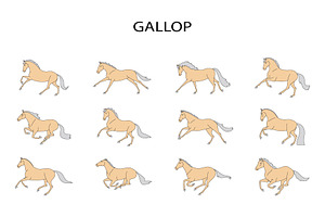 Gallop, an Animal Illustration by Naurider