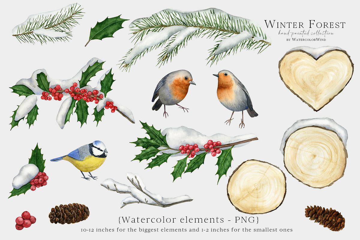Watercolor Floral All Seasons Bundle, a Seasonal Illustration by Ksenia Shmakova (Photo 29 of 39)