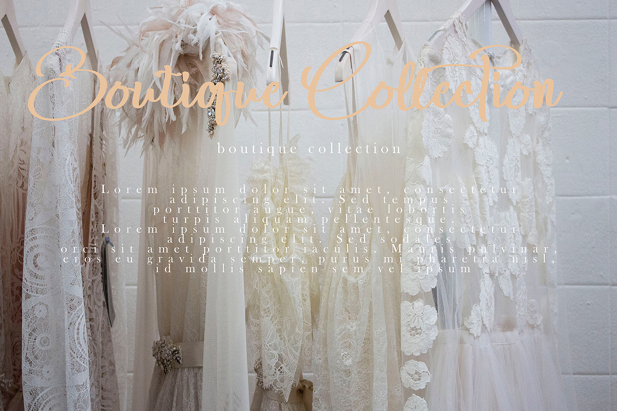 Banita Ralina, a Script Font by pineungtype (Photo 9 of 11)