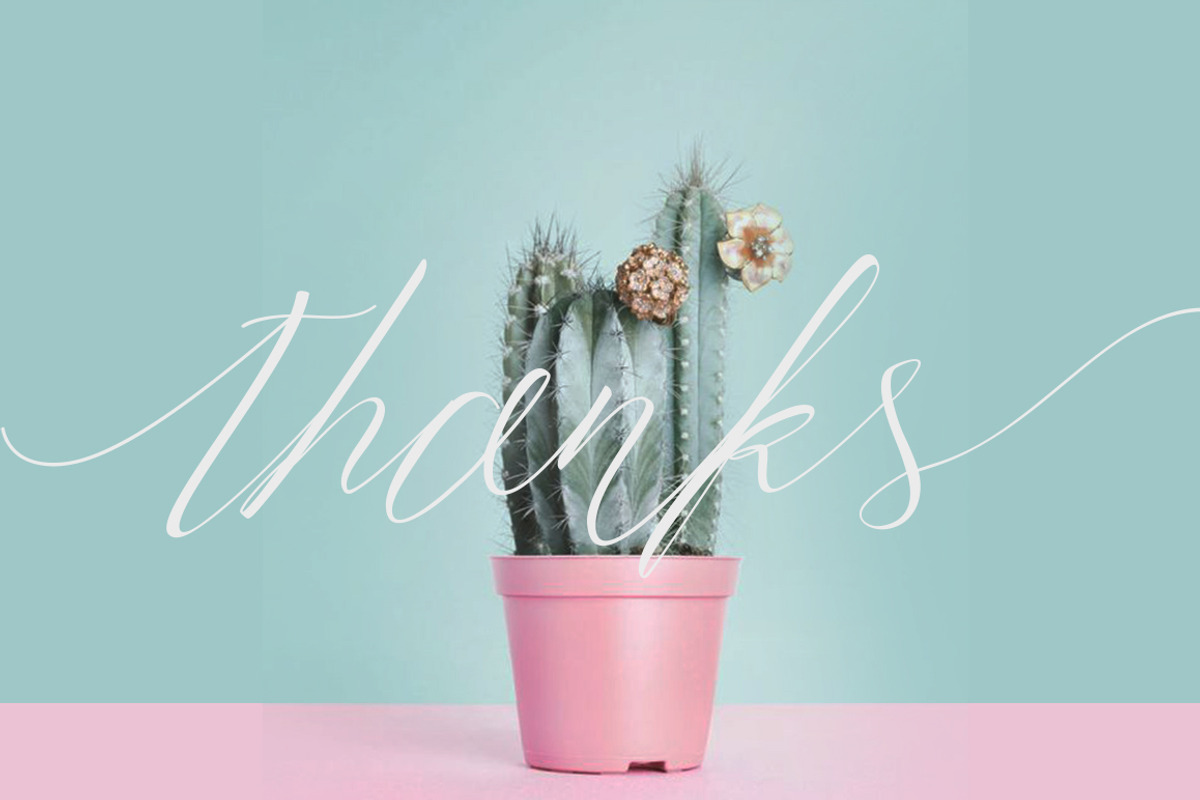 Trendencia Script, a Script Font by Dirtyline Studio (Photo 10 of 10)