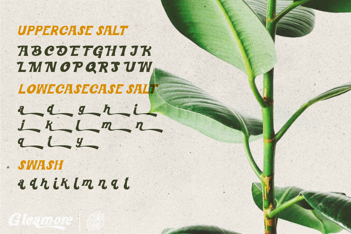Gleamore Display Font, a Sans Serif Font by Glyphstyle (Photo 9 of 11)