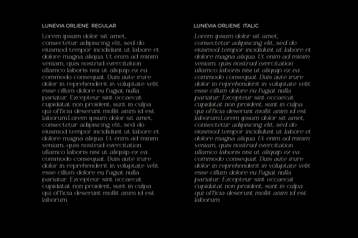 Lunévia Orliene Modern Serif, a Serif Font by Muksal Creative (Photo 3 of 10)