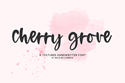 Cherry Grove Script, a Handwritten Font by Beck McCormick (Thumbnail 1 of 10)