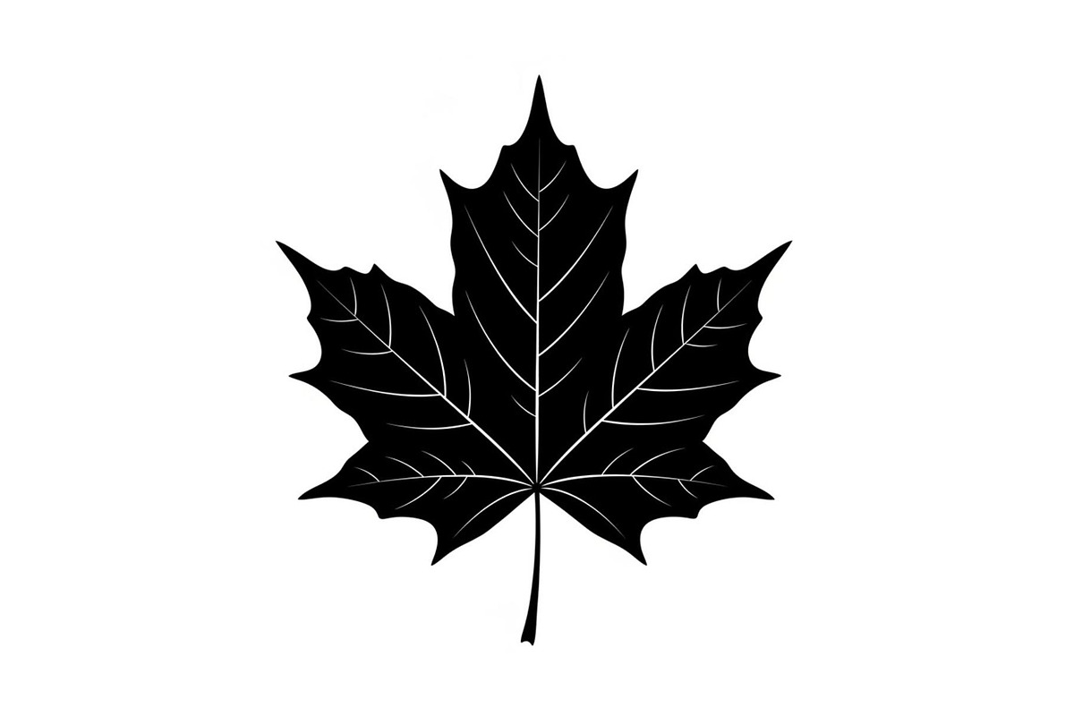 Maple Leaf Silhouette Bundle, a Graphic by musafir_fashion (Photo 8 of 10)