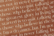 Rosse Merona Modern Serif Font, a Serif Font by timelesstype.co (Thumbnail 15 of 20)