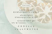 Brandcake Serif, a Serif Font by Typia Nesia (Thumbnail 10 of 10)