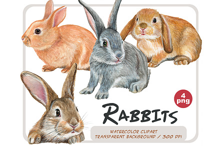 Watercolor Realistic Rabbits clipart, an Animal Illustration by ArtfulStudio