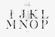 Evergarden Alphabets&Graphics, a Texture Illustration by The Everlasting Story (Thumbnail 14 of 33)