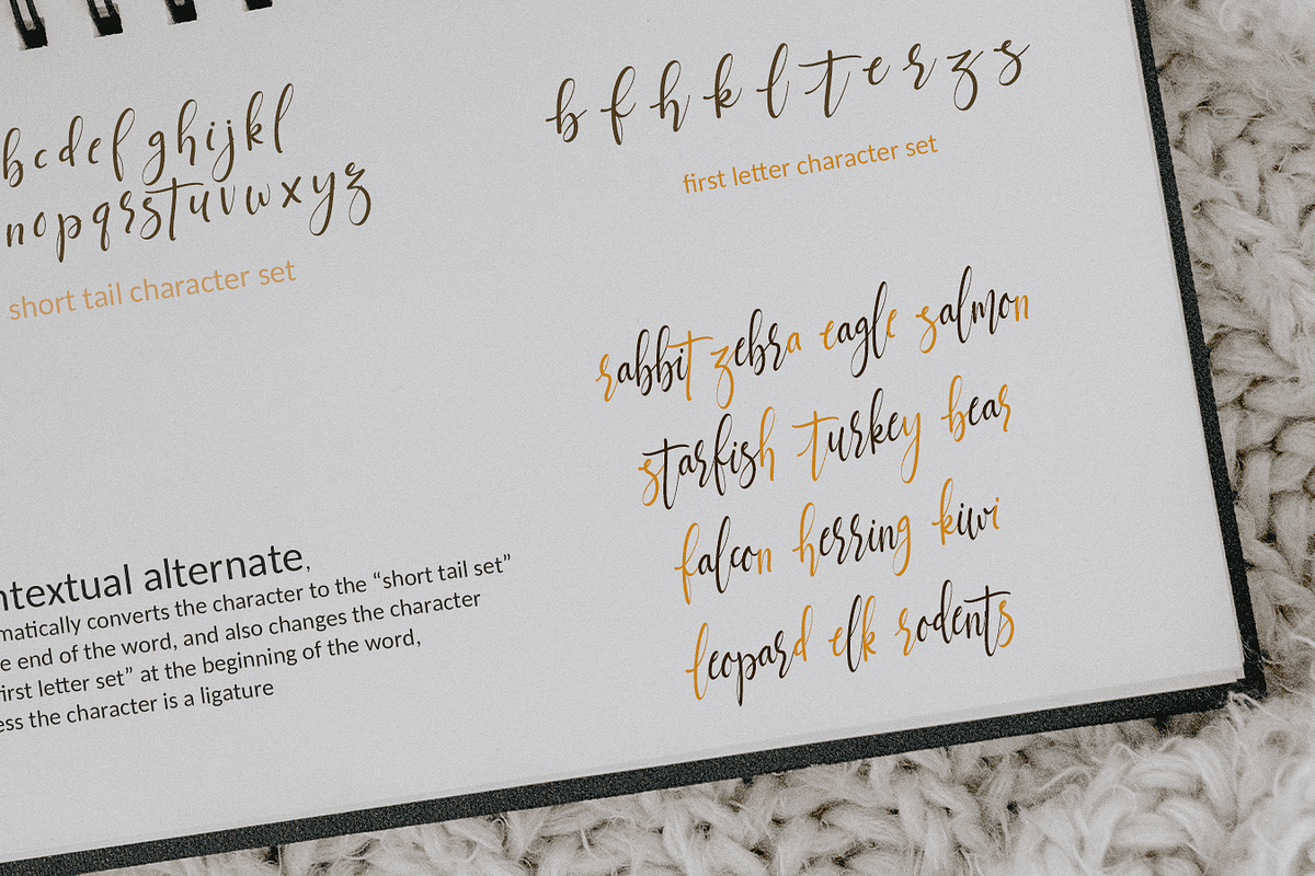 Jettiares Script Font, a Script Font by Letterhanna Studio (Photo 10 of 15)