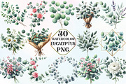 Watercolor Eucalyptus Clipart, an Illustration by CraftArtStudio (Thumbnail 1 of 6)