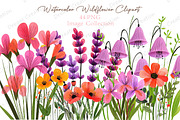 Watercolor Wildflower Clipart, an Illustration by Dream Creation (Thumbnail 1 of 11)