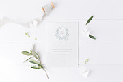 Olive leaves. Laurel frame & wreath, a Decorative Illustration by Summer Nightingale Art (Thumbnail 7 of 15)
