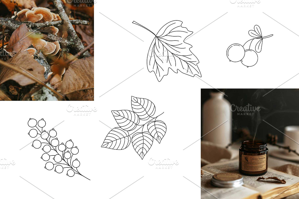 Mushroom Harvest Autumn Doodle Set, a Seasonal Illustration by Contes_de_fée (Photo 6 of 9)