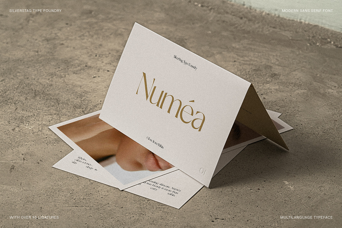 SLTF Night Windfall - Ligature Sans, a Sans Serif Font by SilverStag Type Foundry (Photo 16 of 30)