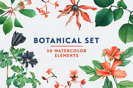 Botanical Watercolor Set