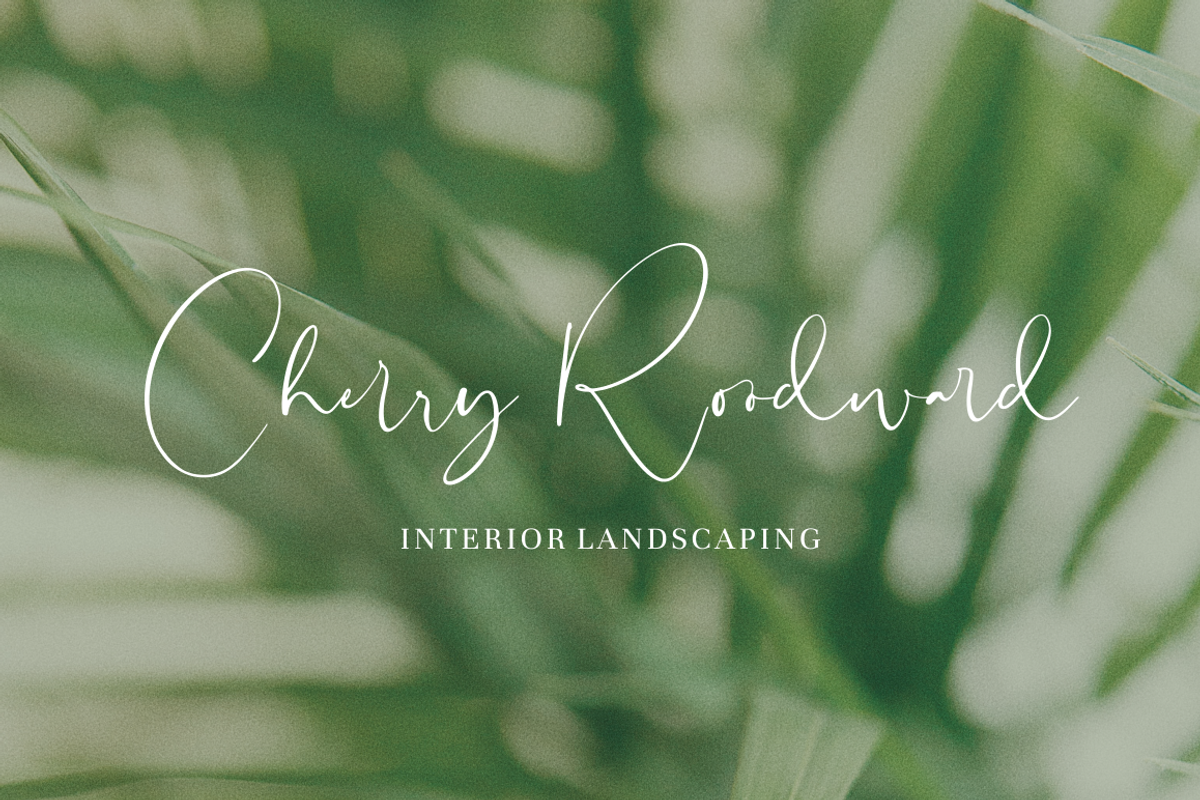 Sheridan - Signature Font preview 5