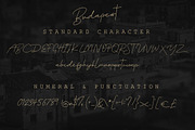 The Playful Font Bundle, a Script Font by Digital Hustler (Thumbnail 8 of 37)
