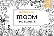 Bloom Сollection, a Decorative Illustration by Luba Vega (Thumbnail 1 of 6)