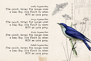 Unexpected Typewriter font, a Serif Font by Ana's Fonts (Thumbnail 3 of 4)