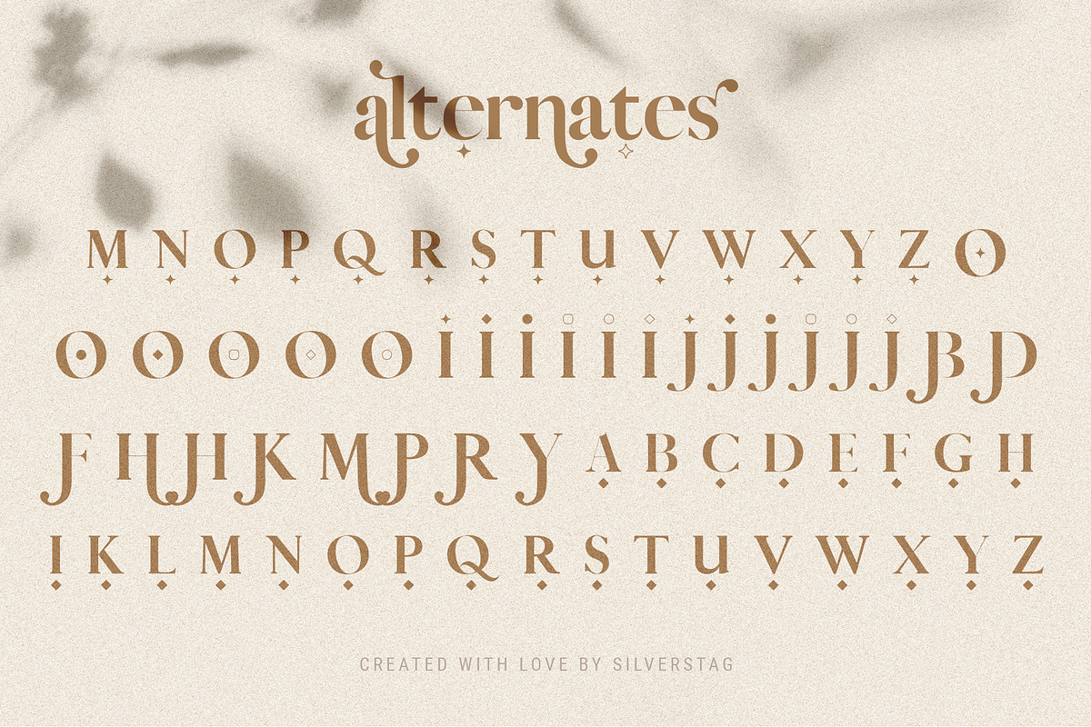 Vicky Christina Ligature Serif Font, a Serif Font by SilverStag Type Foundry (Photo 23 of 25)