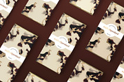 Ivory Tortoiseshell Gold Pattern, a Pattern Graphic by Leysa Flores (Thumbnail 7 of 9)