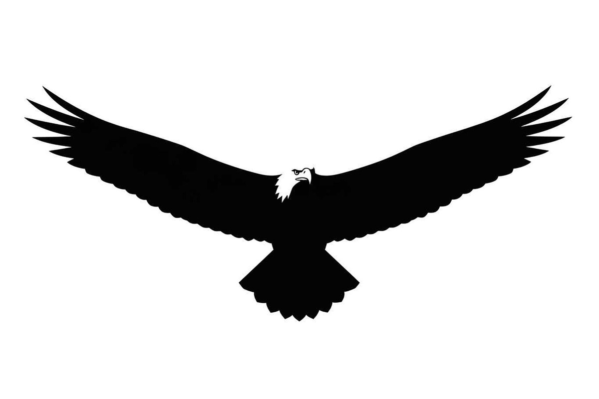 50 Flying Eagle Silhouette Vector Bu, an Illustration by Designs_River (Photo 42 of 51)