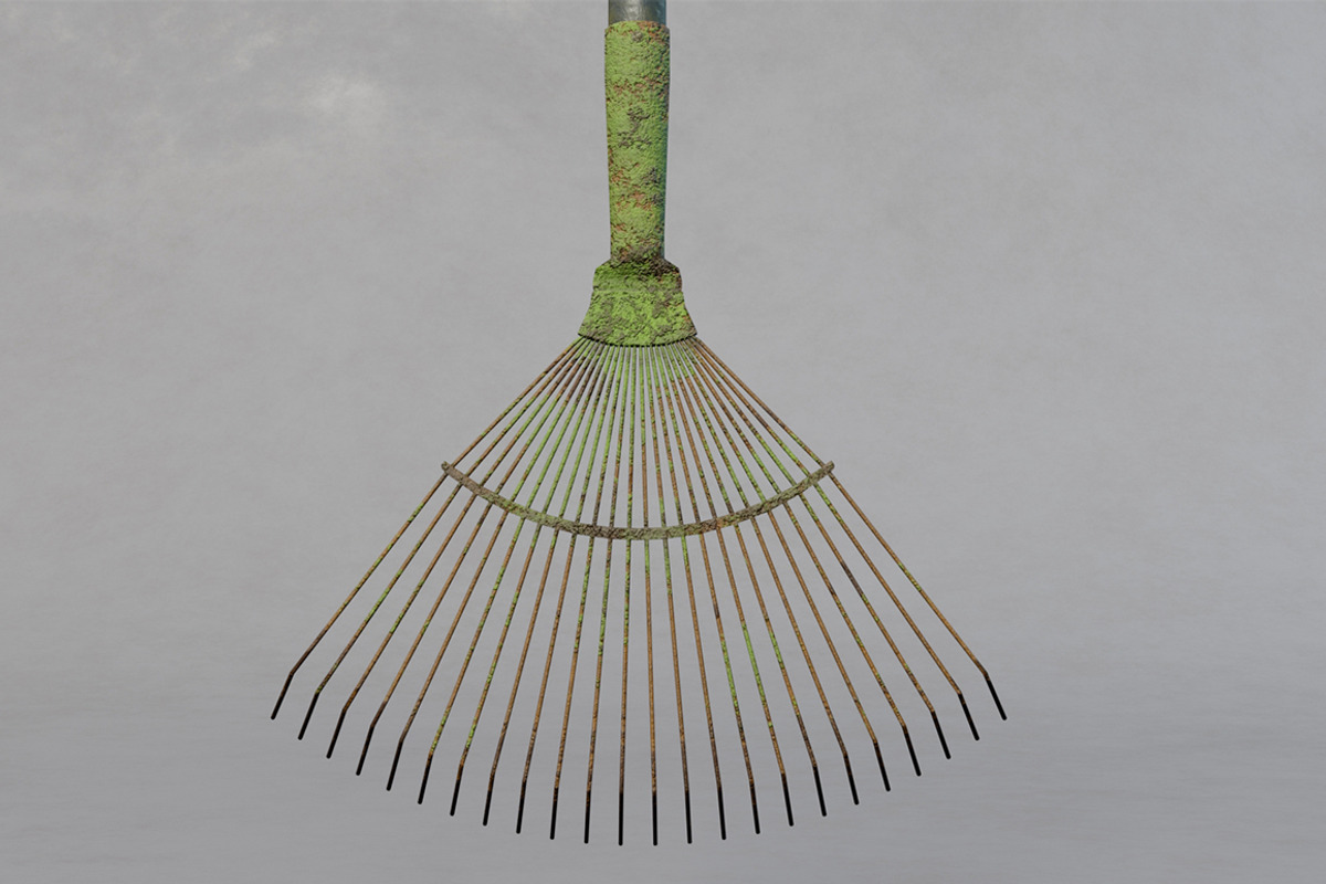 Leaf rake rust, an Object 3D Model by mockupzz (Photo 4 of 8)