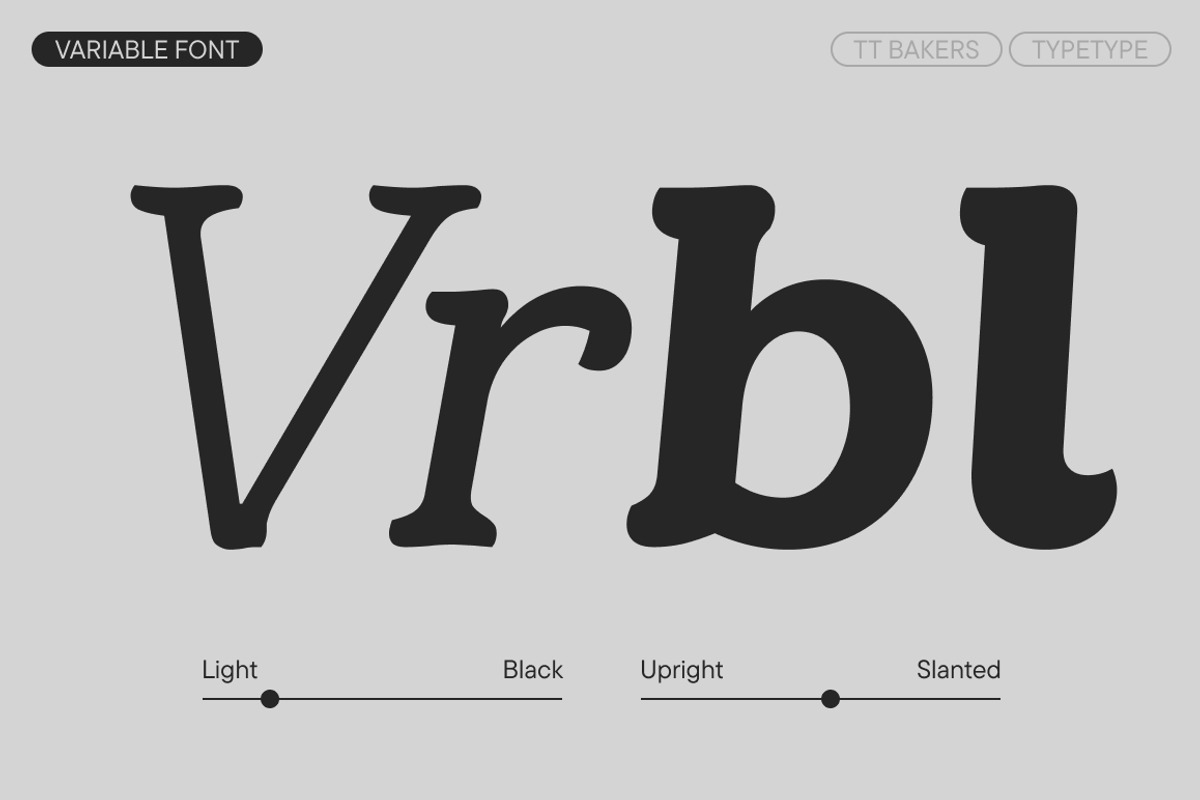 TT Bakers, a Serif Font by TypeType (Photo 5 of 15)