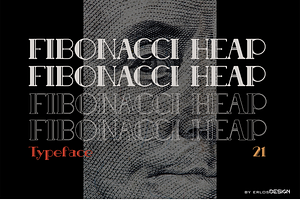 Fibonacci Heap - Slab Serif