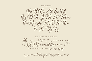 Moonshine Modern Calligraphy Font