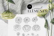 Line Art Flowers Collection, a Decorative Illustration by Letters-Shmetters (Thumbnail 7 of 10)