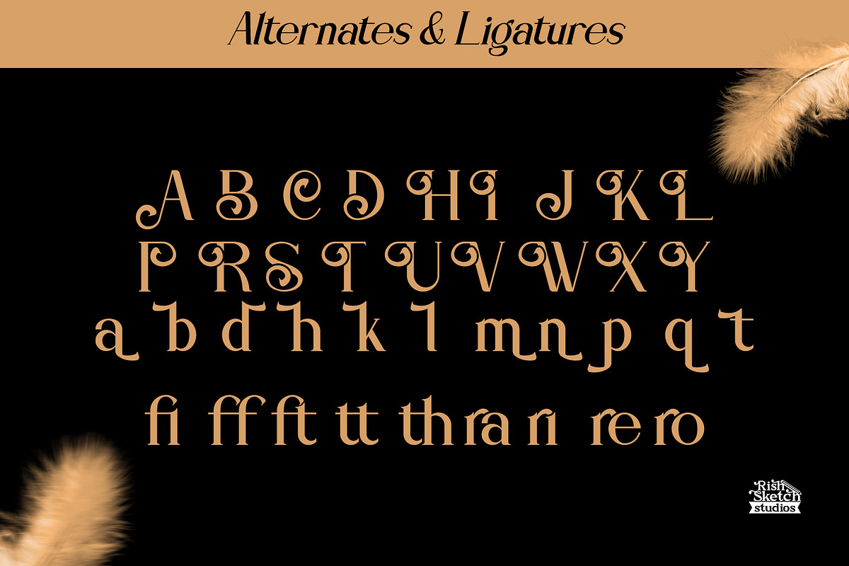Danderain, a Serif Font by Rishsketch (Photo 12 of 13)
