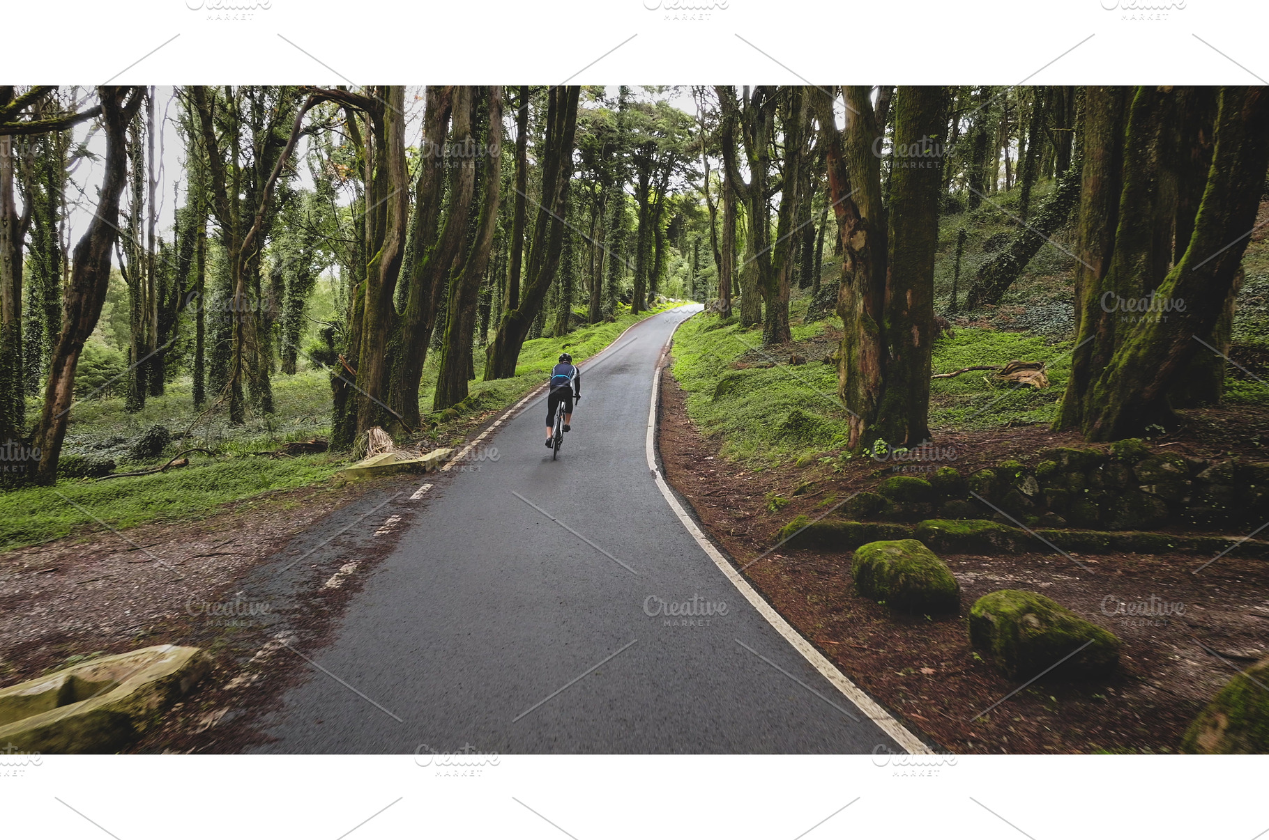 Cyclist riding winding road through, a Nature Photo by Goinyk
