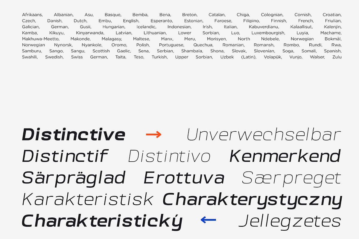 Srotone Font Italic, a Sans Serif Font by Glyphminds Studios (Photo 6 of 11)