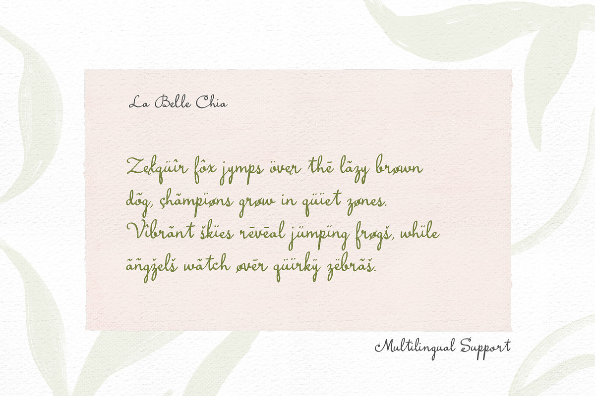 La Belle Chia Handwritten Script, a Handwritten Font by Perplexitics (Photo 9 of 10)