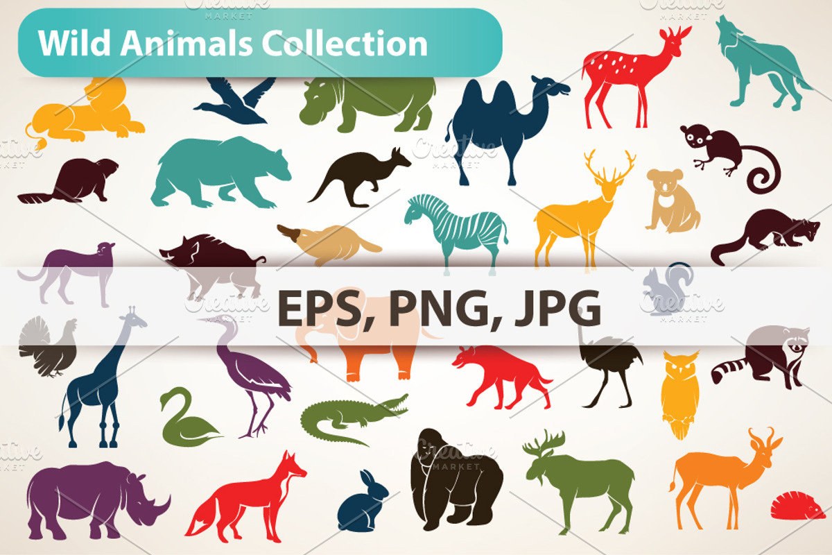 Big Collection of  Wild Animals, an Icon by Janna Millionnaya