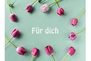 Pink tulips arranged in a circle on, a Photo by tilialucida