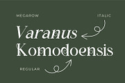 Megarow, a Serif Font by Rishsketch (Thumbnail 4 of 13)