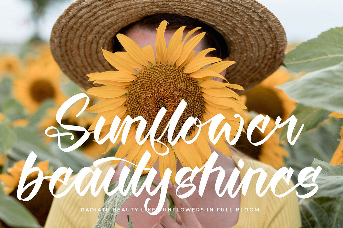 Twilight Lantern Modern Handwritten, a Script Font by stylishtype.co (Photo 18 of 20)