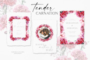 Red Carnation, an Illustration by Olga Koelsch (Thumbnail 6 of 8)