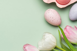Easter eggs and tulips creating a spring feeling on pastel green, a Holiday Photo by Olena Rudo