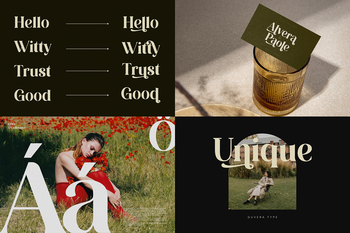Elegant Serif – 8 Font Bundle, a Serif Font by Brand Earth (Photo 10 of 10)