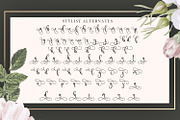 Barmukey, a Script Font by Sealoung (Thumbnail 12 of 13)